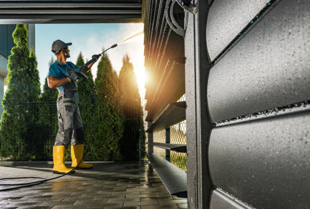 Best Roof Cleaning and Mildew Removal in Walnut Park, CA