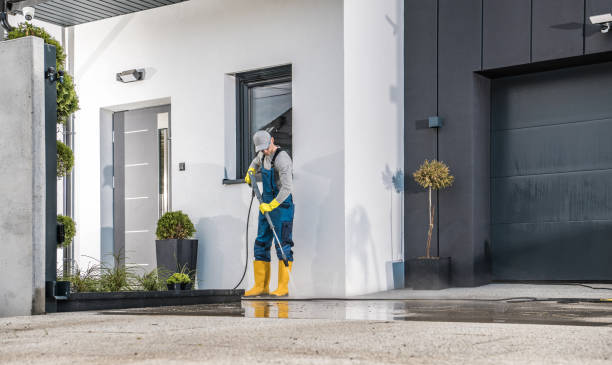 Best Roof Cleaning and Mildew Removal in Walnut Park, CA